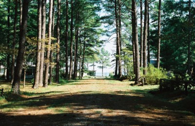 beach driveway.jpg - Fleeton Beach - Drive Way